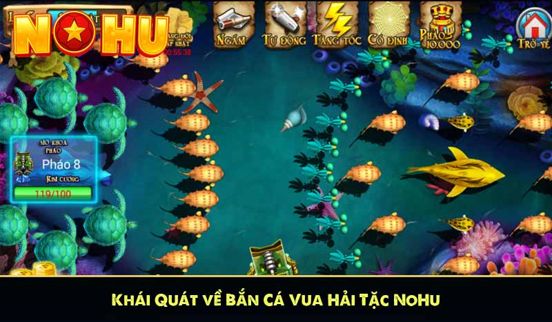 Khái Quát về Bắn Cá Vua Hải Tặc NoHu